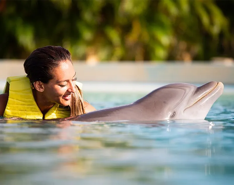 About Dolphinaris  carousel image 4