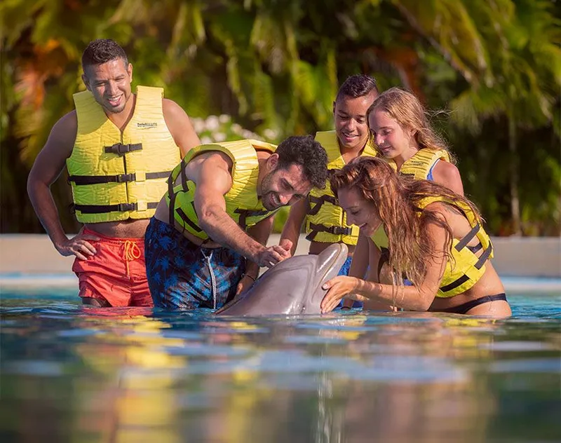 About Dolphinaris  carousel image 1