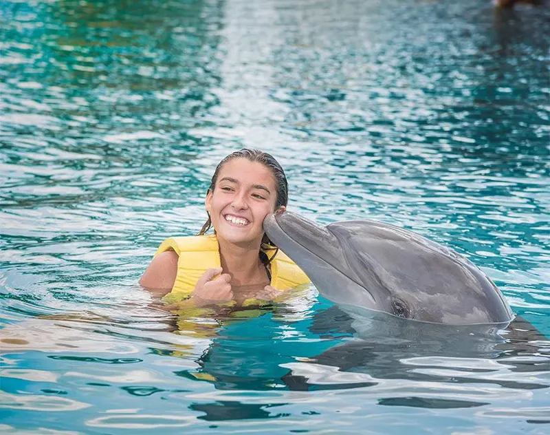 About Dolphinaris  carousel image 8