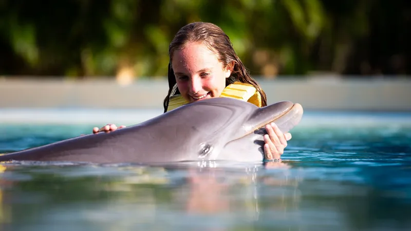 DOLPHIN SWIM EXPERIENCE CON BARRA LIBRE Y ALIMENTOS