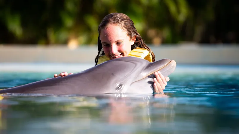 DOLPHIN SWIM EXPERIENCE WITH OPEN BAR AND LUNCH
