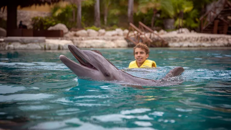 DOLPHIN FRIENDLY ENCOUNTER CON BARRA LIBRE Y ALIMENTOS