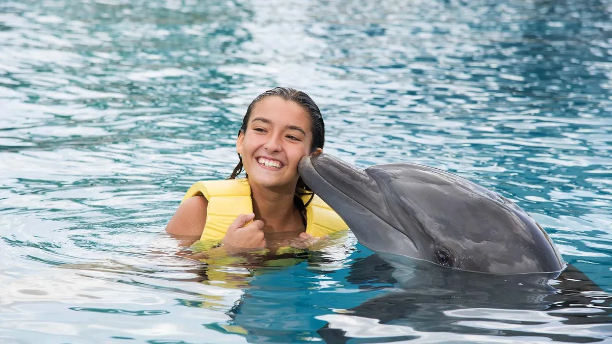 Dolphinaris Experience